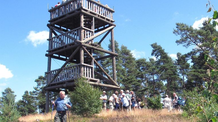 Ein Aussichtsturm steht in einer grünen Umgebung. Eine Gruppe von Menschen steht darin und genießt die Aussicht.