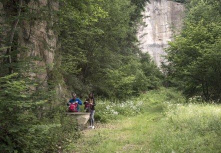 Rast an der Tuffsteinwand, &copy; Kappest/Vulkanregion Laacher See