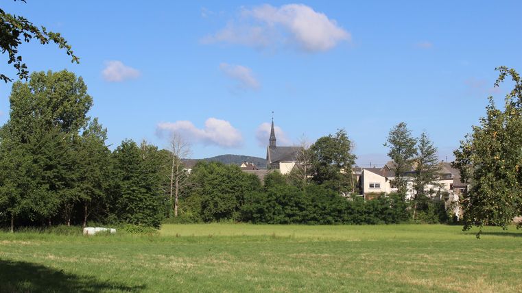 A green meadow with scattered trees and a clear blue sky in the background. In the background, a village with a church can be seen.
