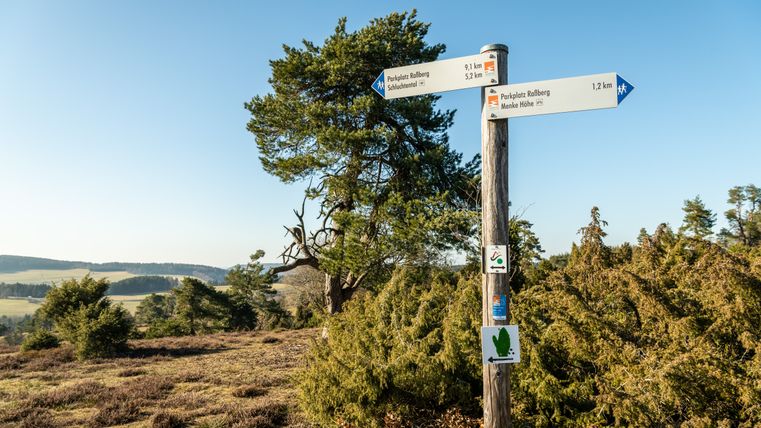 Wegwijzer op het Traumpfad Bergheidenweg in een heidelandschap.