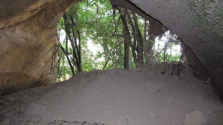 Ein Blick durch eine Höhle auf einen bewaldeten Bereich. Die Umgebung ist grün und mit Bäumen bedeckt.
