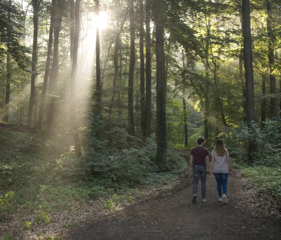 Sch&ouml;ne Landschaft, &copy; K.-P. Kappest