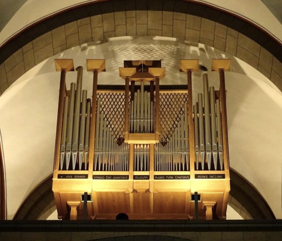 Orgel, © Gereon Krahforst