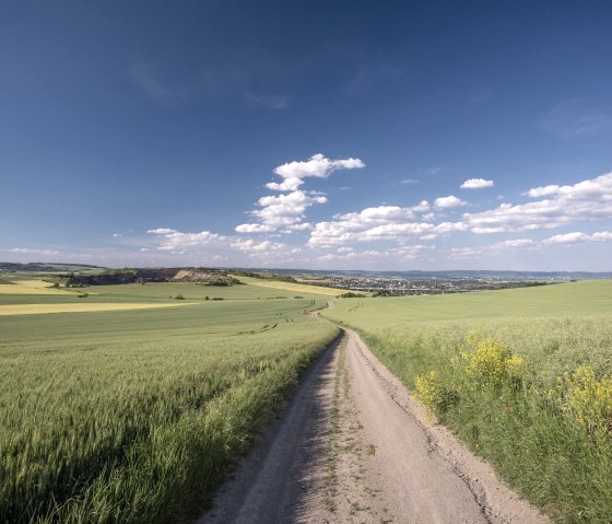 Sch&ouml;ne Landschaft, &copy; Vulkanregion Laacher See/Kappest