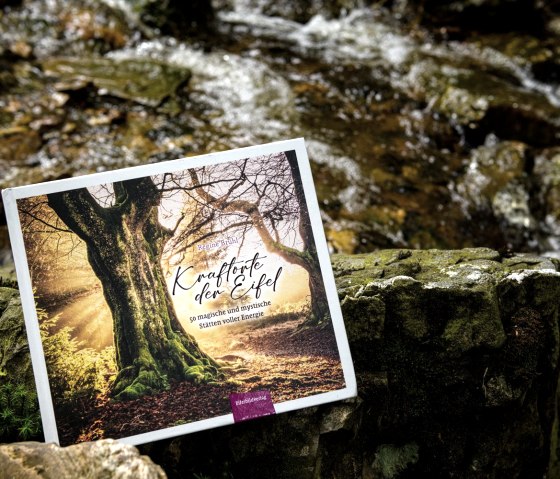 Buch, &copy; Regine Br&uuml;hl