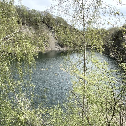 Lac royal d'Oberd&uuml;renbach, &copy; Christof B&uuml;rger