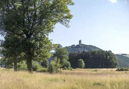 Blick auf Burg Olbrück, © Vulkanregion Laacher See/Kappest