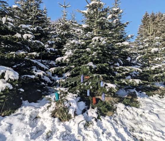 Adventsabenteuer 3, © Maren Dönhoff