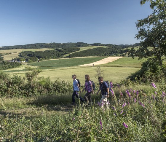 Directeur de l'Eifel Hohenleimbach, &copy; Kappest