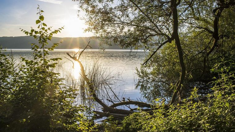 A calm lake, surrounded by trees and bushes. The sun gently reflects in the water, creating a peaceful atmosphere.