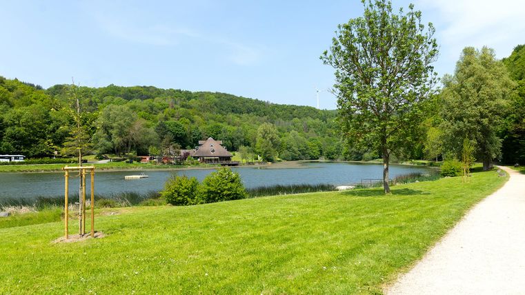A beautiful park with a clear pond and plenty of greenery. In the background, trees and a building can be seen.