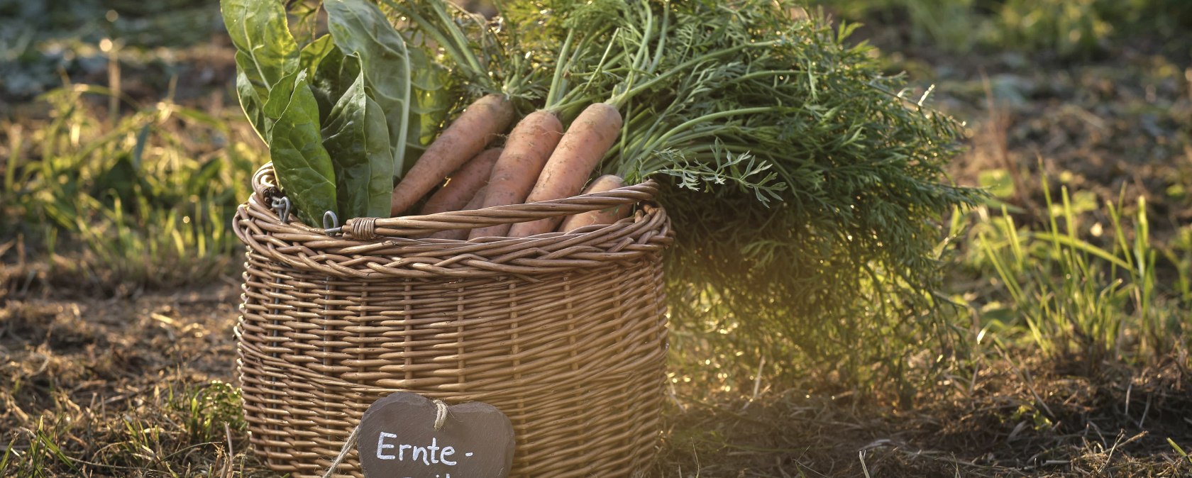 Wochenmarkt, &copy; REMET
