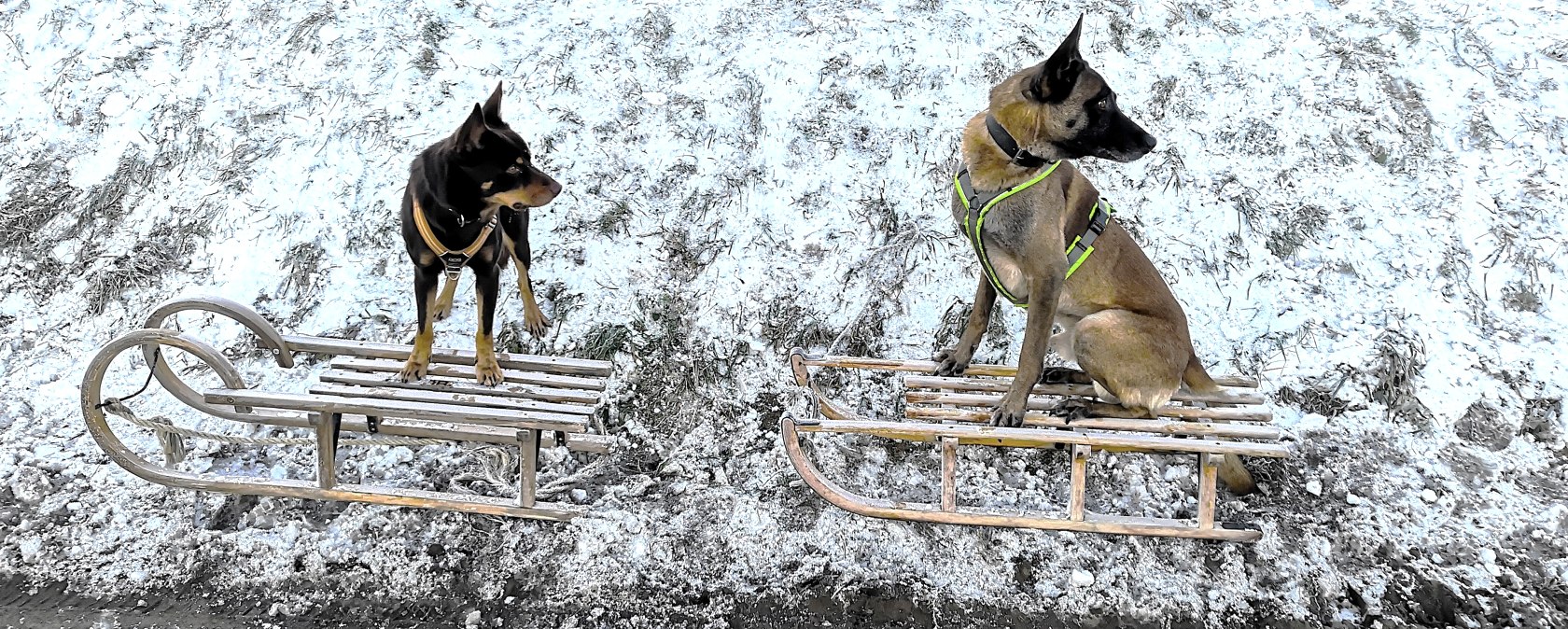 Adventsabenteuer1, &copy; Maren D&ouml;nhoff