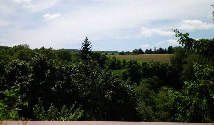 Eine grüne Landschaft mit dichten Bäumen und sanften Hügeln. Der Himmel ist hell und teilweise bewölkt.
