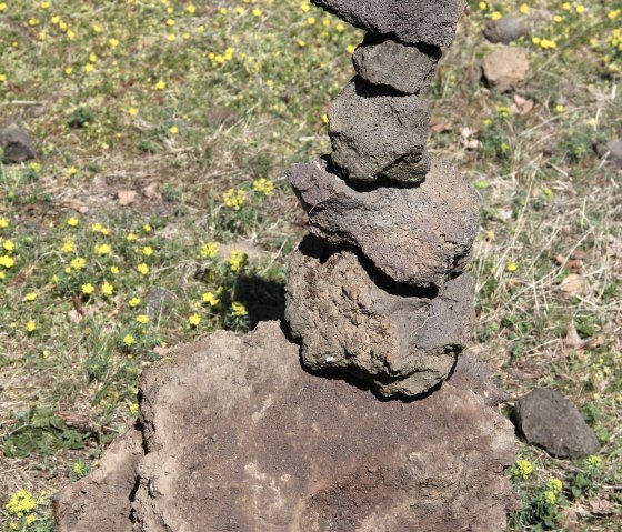 am Bausenberg, &copy; Evelyne Birnberg