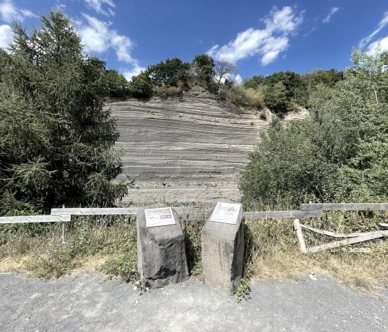 Infotafeln, &copy; Vulkanregion Laacher See/Hausberg