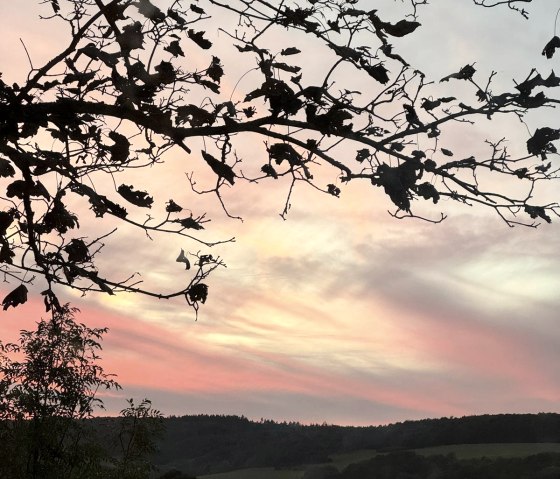 Abendsonne &uuml;ber Schalkenbach