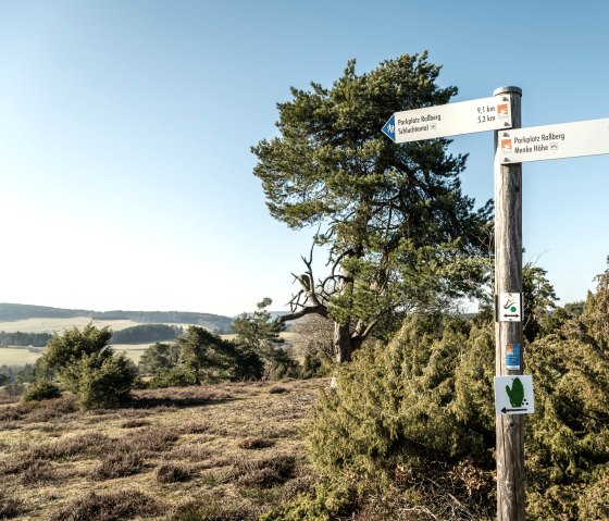Traumpad Bergheidenweg, © Eifel Tourismus GmbH, D. Ketz
