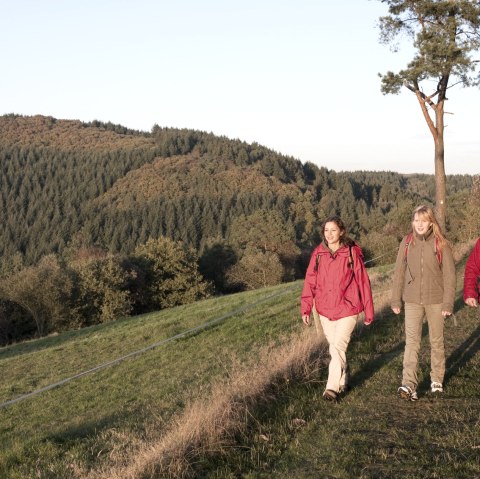 Wanderather - Hiking trail in fall, &copy; Traumpfade/Kappest