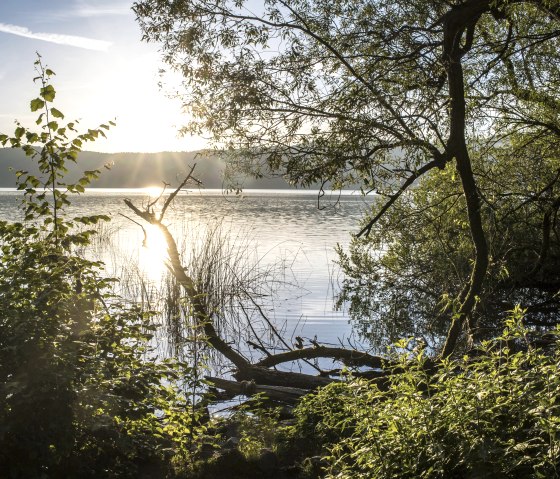 Seeblick, &copy; Kappest/Vulkanregion Laacher See