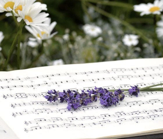 Concert de chorale