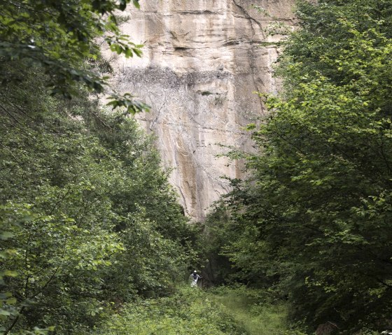 Tuffsteinwand, &copy; Kappest/Vulkanregion Laacher See