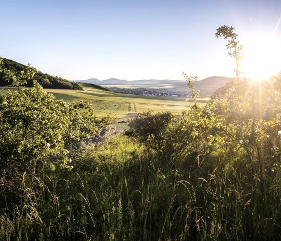 Natur, &copy; Vulkanregion / Kappest