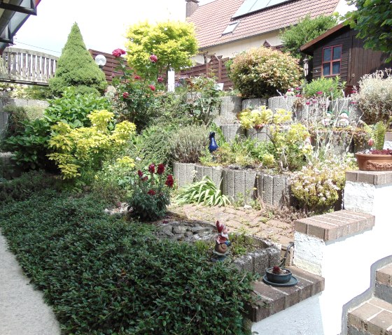 Blumen, &copy; Erwin Astor