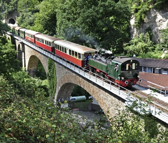 Die historische Dampflokomotive des Vulkan-Expre&szlig; zieht bunte Waggons &uuml;ber eine steinerne Eisenbahnbr&uuml;cke inmitten einer gr&uuml;nen, bewaldeten Landschaft., &copy; Woflgang Grafenender
