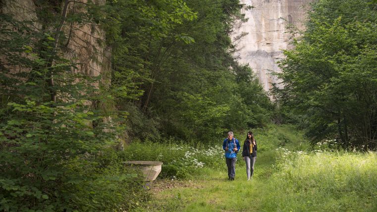 Zwei Personen wandern auf einem schmalen Pfad durch einen grünen Wald. Die umgebene Natur ist üppig und friedlich.