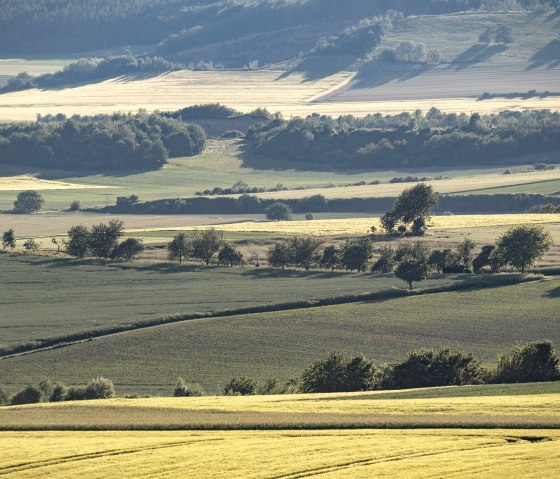 Landschaft, &copy; Kappest