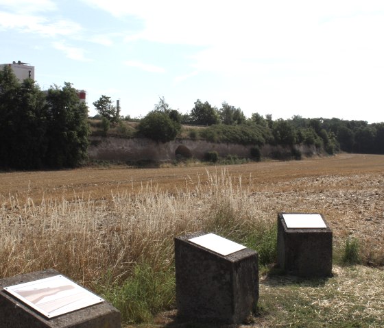 Krufter Bachtal Infosteine, &copy; VG Pellenz/Alexandru Manea