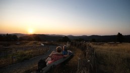 Sonnenaufgang auf dem Wabelsberg, © Foto: Laura Rinneburger, Quelle: Touristik-Büro Vordereifel