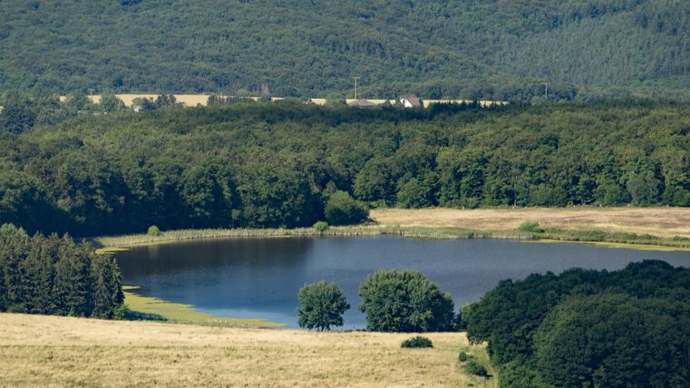 A quiet lake surrounded by green forests and meadows. The landscape is peaceful and inviting.