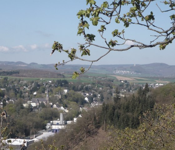 Vue panoramique entour&eacute;e de for&ecirc;ts et de champs., &copy; TI Vulkanregion Laacher See