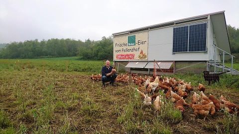 Ein Mann steht auf einem Feld mit vielen Hühnern. Im Hintergrund sieht man ein Gebäude mit einem Schild für frische Eier.