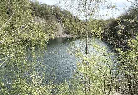 K&ouml;nigssee Oberd&uuml;renbach, &copy; Christof B&uuml;rger