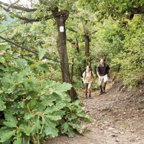 Rheinburgenweg, &copy; Dominik Ketz / Romantischer Rhein Tourismus GmbH