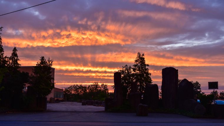 Ein farbenfroher Sonnenuntergang mit orangefarbenen und violetten Wolken. Silhouetten von Bäumen und Steinstruktur im Vordergrund.