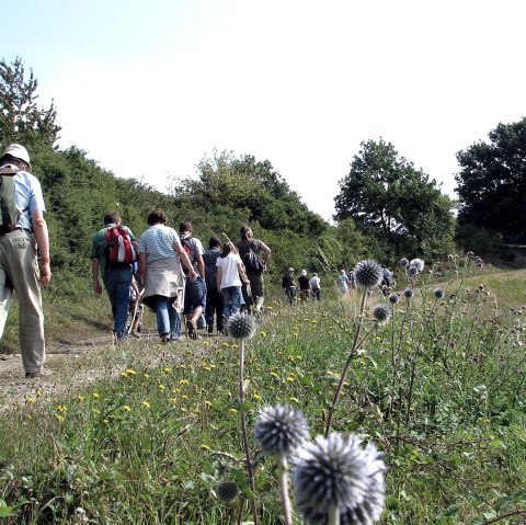 Wandern mit dem Bürgermeister 2, © VG Brohltal