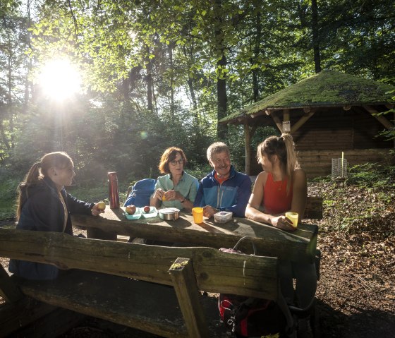 Vier Personen sitzen an einem Holztisch im Wald, nahe einer Moosdachhütte. Die Sonne scheint durch die Bäume., © Kappest_REMET
