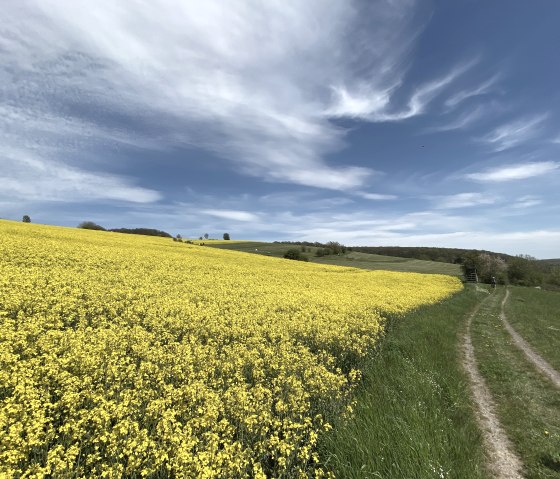 Eifel landscape Niederd&uuml;renbach, &copy; Christof B&uuml;rger