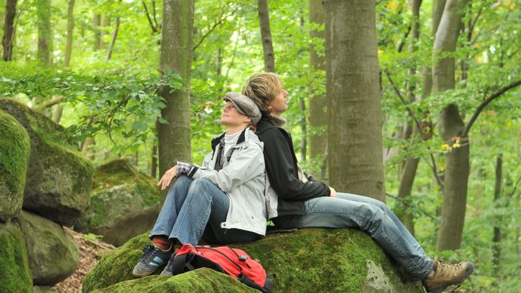 Zwei Personen sitzen entspannt Rücken an Rücken auf einem großen Stein im Wald. Die Umgebung ist grün und von Bäumen umgeben.