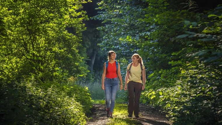 Zwei Frauen wandern auf einem Waldweg, umgeben von grünen Bäumen.