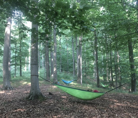 H&auml;ngematte, &copy; Gabriele Arzdorf