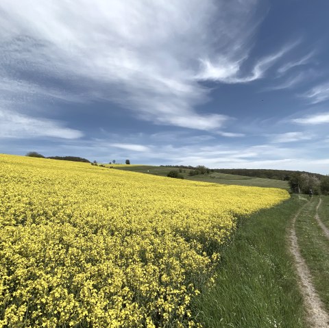Eifellandschap Niederdürenbach, © Christof Bürger