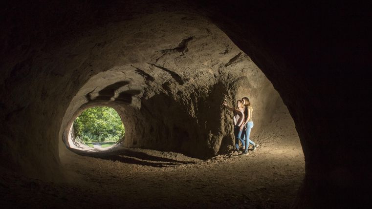 Eine Höhle mit einer Person, die an einer Wand lehnt. Durch den Ausgang der Höhle sieht man grünes Licht und Pflanzen.