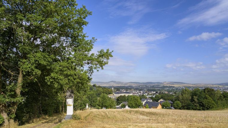 Eine schöne Landschaft mit einem Blick auf eine Stadt im Tal. Im Vordergrund stehen grüne Bäume und reife Felder.