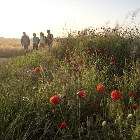 Geocache-Abstecher - Laachus angelt in Obermendig 3, &copy; Rhein-Mosel-Eifel-Touristik/Klaus-Peter Kappest