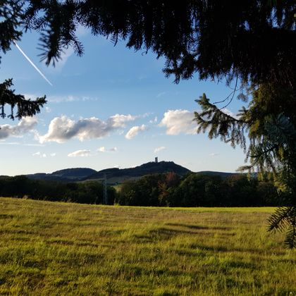 Ein malerisches Landschaftsbild mit einer Wiese im Vordergrund und sanften Hügeln im Hintergrund. Der Himmel ist blau mit einigen weißen Wolken.